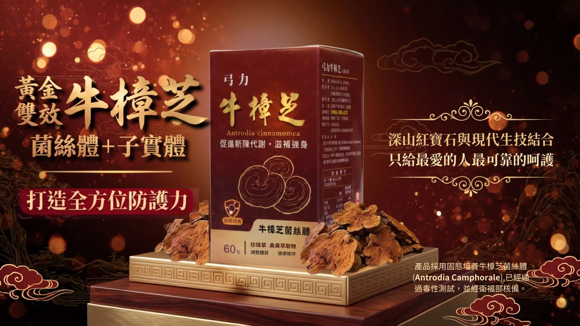 【弓力】牛樟芝(Antrodia cinnamomea)-牛樟芝萃取膠囊保健食品