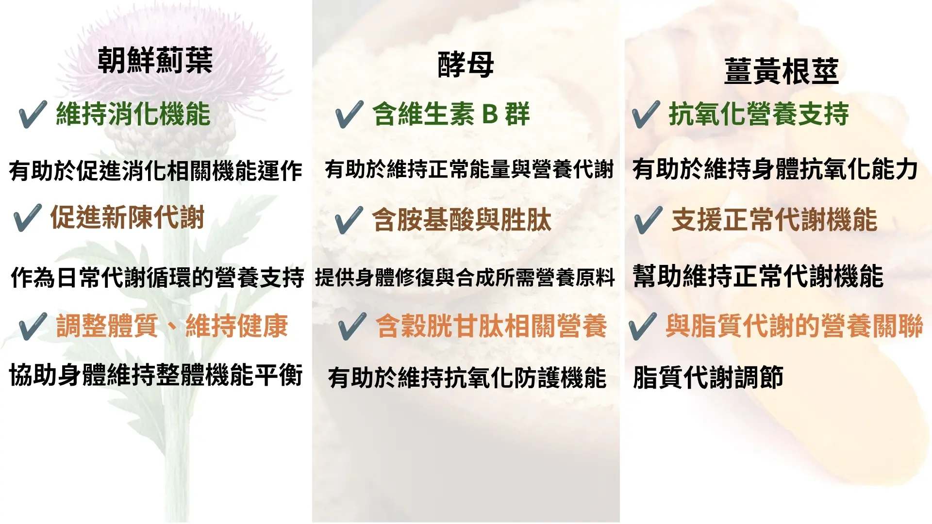 「顧干寶-朝鮮薊葉/B群膠囊」廣告|文案2