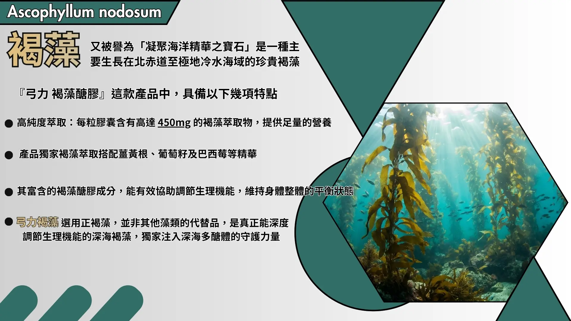「褐藻醣膠-褐藻萃取膠囊」廣告|文案3