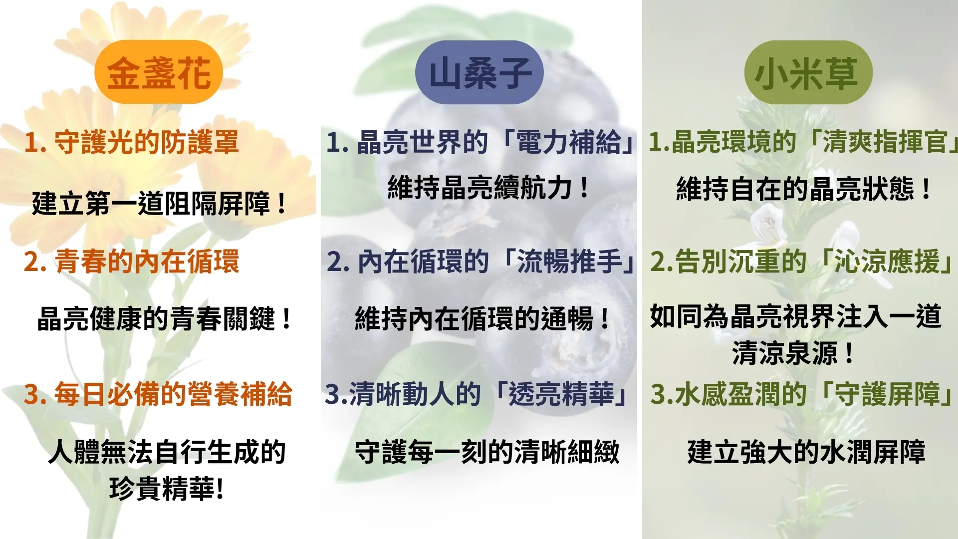 「清戈明-超級葉黃素膠囊」廣告|文案2