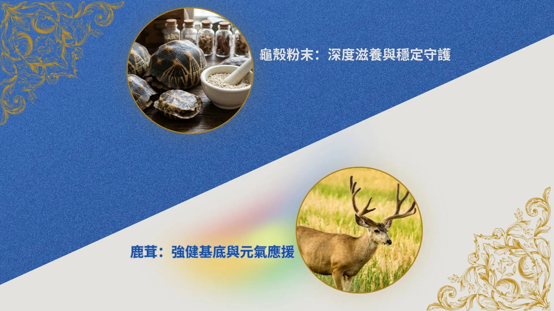 「有利康の龜鹿加-龜鹿雙寶萃取膠囊」廣告|文案4