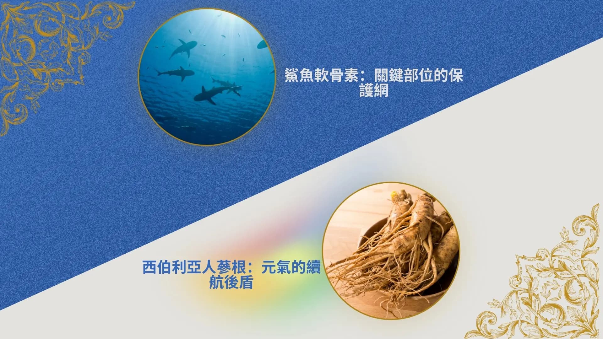 「有利康の龜鹿加-龜鹿雙寶萃取膠囊」廣告|文案5